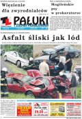 Pałuki i Ziemia Mogileńska
