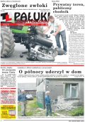 Pałuki i Ziemia Mogileńska