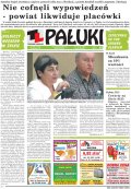 Pałuki