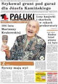 Pałuki i Ziemia Mogileńska