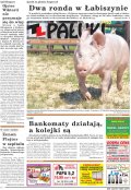 Pałuki