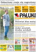Pałuki