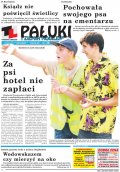 Pałuki i Ziemia Mogileńska