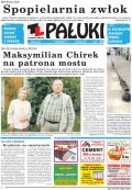 Pałuki