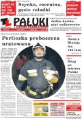 Pałuki i Ziemia Mogileńska