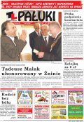 Pałuki
