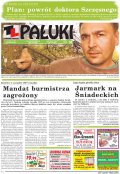 Pałuki