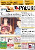 Pałuki