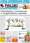 Pałuki i Ziemia Mogileńska