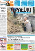 Pałuki