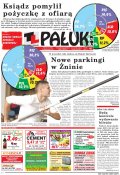 Pałuki