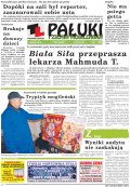 Pałuki i Ziemia Mogileńska