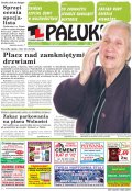 Pałuki