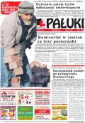 Pałuki