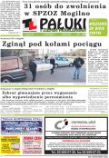 Pałuki i Ziemia Mogileńska