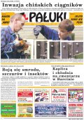 Pałuki