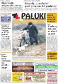 Pałuki i Ziemia Mogileńska