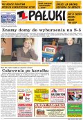 Pałuki