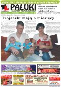 Pałuki i Ziemia Mogileńska