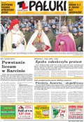 Pałuki
