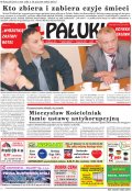 Pałuki