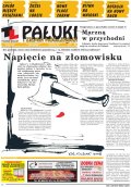 Pałuki i Ziemia Mogileńska