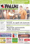 Pałuki