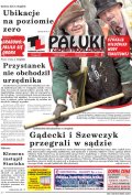 Pałuki i Ziemia Mogileńska