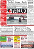 Pałuki