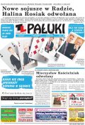 Pałuki
