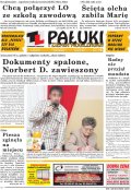 Pałuki i Ziemia Mogileńska