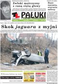 Pałuki i Ziemia Mogileńska