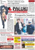 Pałuki i Ziemia Mogileńska