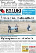 Pałuki i Ziemia Mogileńska