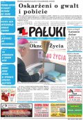 Pałuki