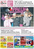 Pałuki