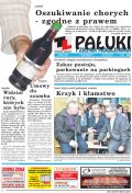 Pałuki i Ziemia Mogileńska