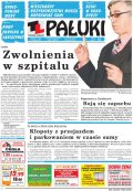 Pałuki