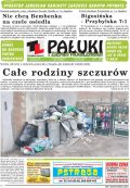 Pałuki i Ziemia Mogileńska