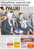 Pałuki i Ziemia Mogileńska