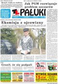 Pałuki