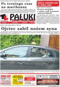 Pałuki i Ziemia Mogileńska
