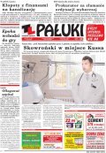 Pałuki