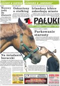 Pałuki i Ziemia Mogileńska