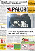 Pałuki