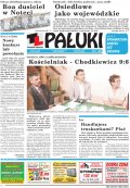 Pałuki