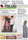 Pałuki i Ziemia Mogileńska
