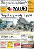 Pałuki i Ziemia Mogileńska