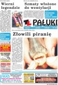 Pałuki i Ziemia Mogileńska