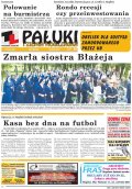 Pałuki i Ziemia Mogileńska